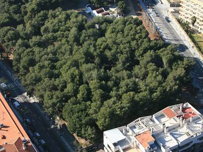 El Ayuntamiento de Salou inicia un proceso participativo en la reforma integral de la zona de la avenida Carles Buigas