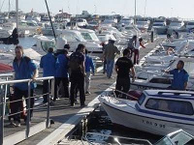 El dilluns s’iniciarà la 40ena edició de la Festa del Calamar