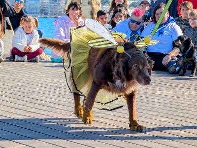 Éxito rotundo en el primer Cós Blanc para Mascotas de Salou