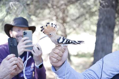 La biodiversidad de Cap Salou, protagonista de la V edición del BioBlitz