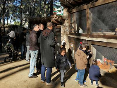 La muestra de aves de corral y bestiario autóctono catalán vuelve a la Masía Catalana para estas fiestas