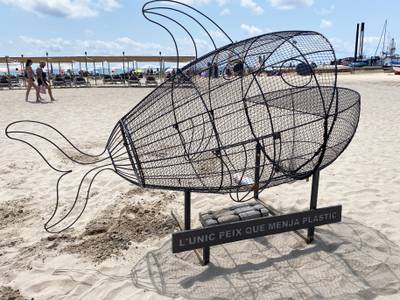 Las playas de Salou reciben la visita del pescado que 'come' plástico