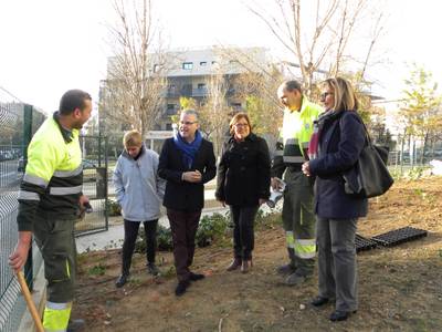 Los trabajos de jardinería en el exterior de la Escuela Salou finalizarán próximamente