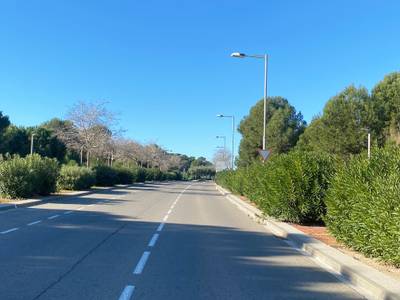 Salou actualizará el sistema de riego y replantará los almeces en el tramo del Pla de Maset, comprendido entre la rotonda de la calle del Fonoll y la rotonda del Camí del Racó