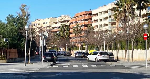 Salou amplía el tamaño de los alcorques de la calle Tarragona, para poder plantar grevíleas