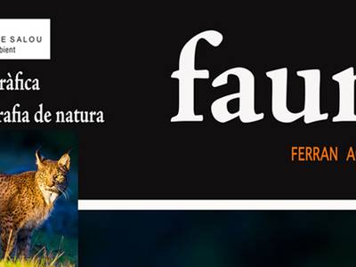 Salou busca poner en valor el patrimonio natural en el Día Mundial del Medio Ambiente