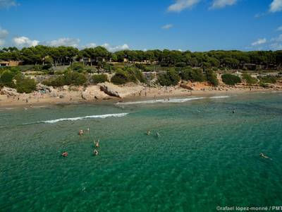 Salou celebrará el Día Mundial del Medio Ambiente con dos limpiezas en las playas del municipio, durante este fin de semana