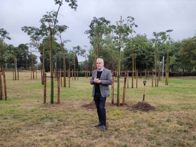 Salou conmemora, hoy, el 32 aniversario de la Segregación, con la plantada simbólica del árbol Samohú