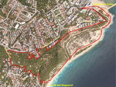 Salou consolida la protección de casi 30 ha de zona boscosa, en el Cap Salou