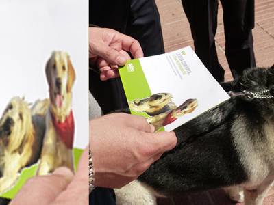 Salou denuncia 53 propietarios de perros por no cumplir con la ordenanza cívica