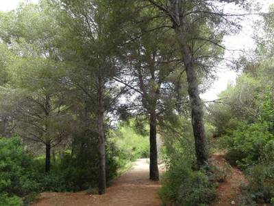 Salou habilita espacios públicos y zonas verdes como refugios climáticos ante las altas temperaturas