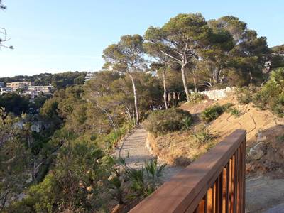 Salou refuerza su litoral verde con la plantación de 3.800 plantas autóctonas