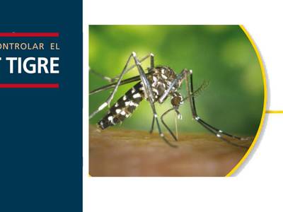 Salou se suma a la campaña para controlar el mosquito tigre
