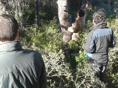 Se inicia un plan de gestión de especies vegetales en peligro de extinción y otras vulnerables en la zona de Cap Salou