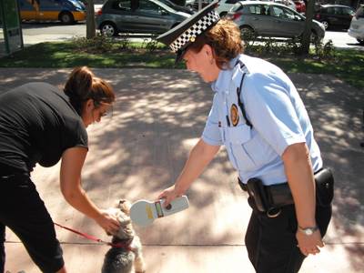 Seguridad Ciudadana informa de su servicio de identificación y control de perros en beneficio de la convivencia y la salubridad