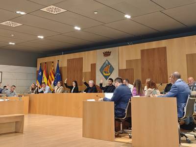 Todos los acuerdos votados en el pleno de 29 de enero de 2025