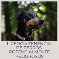 Licencia tenencia de perros potencialmente peligrosos