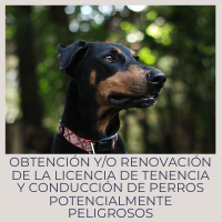 Obtención o renovación de la licencia de tenencia y conducción de perros potencialmente peligrosos